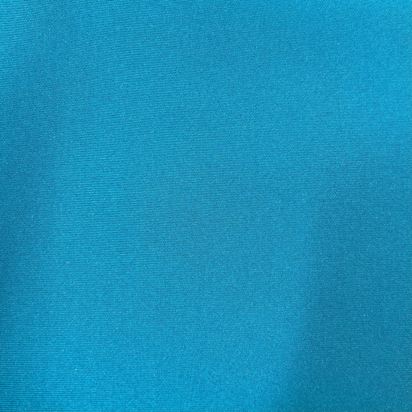 AUGUST (teal pumpkin)